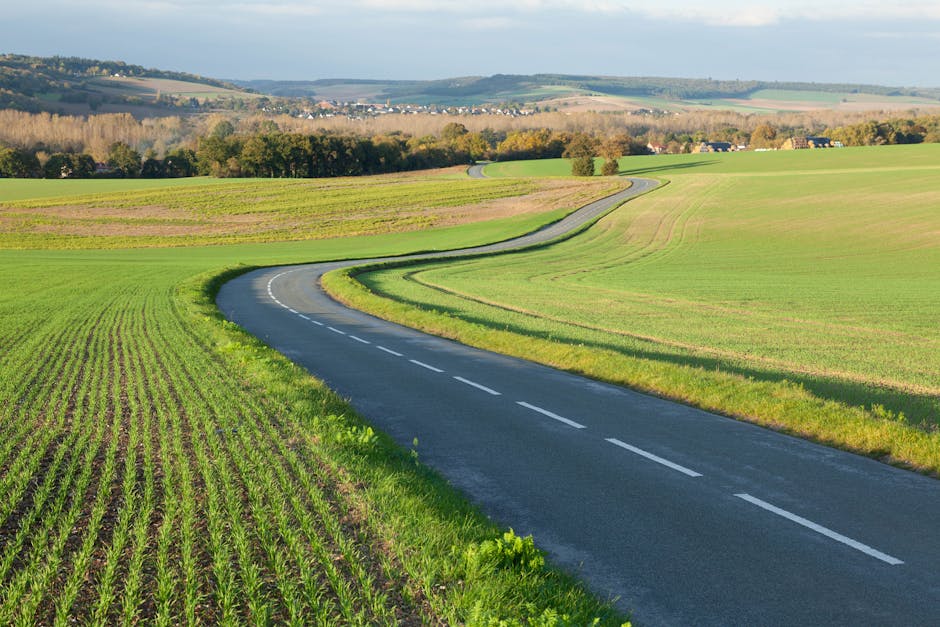 Catalysts and the Road Ahead