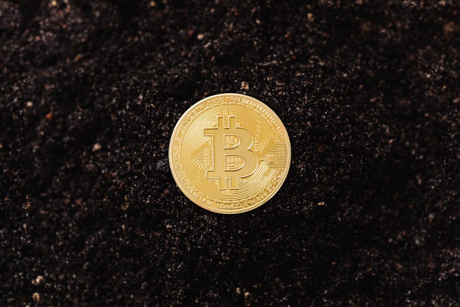 How to Get Started: Steps for Prospective Members