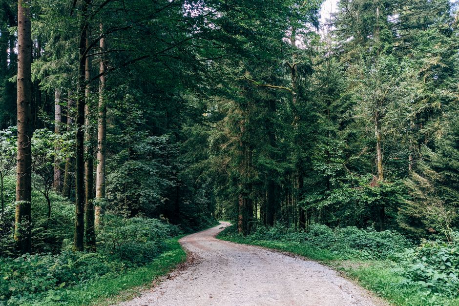 Investing Scenarios: Realistic Pathways to Growth