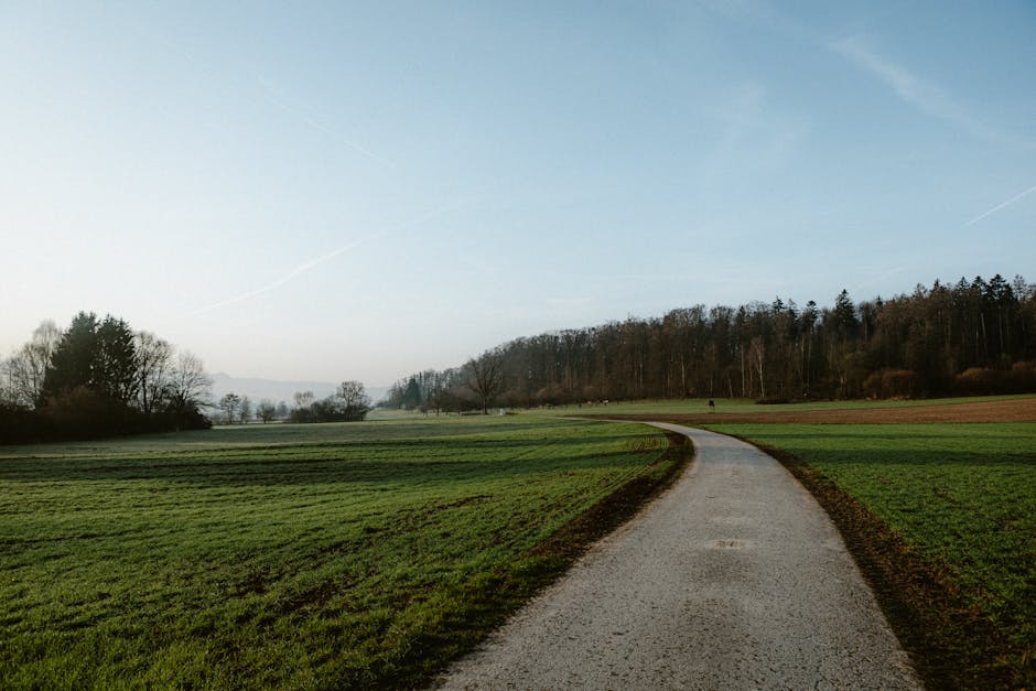 Forecasting the Path Forward: What Investors Should Expect