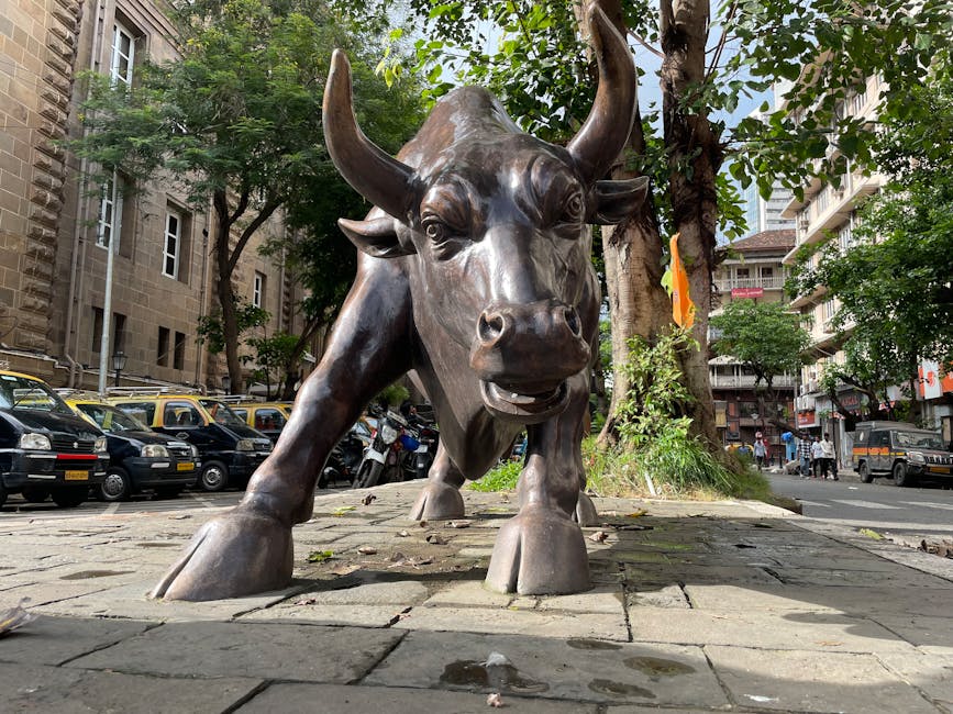 The Bull Case: Why Some Investors Like the Dip