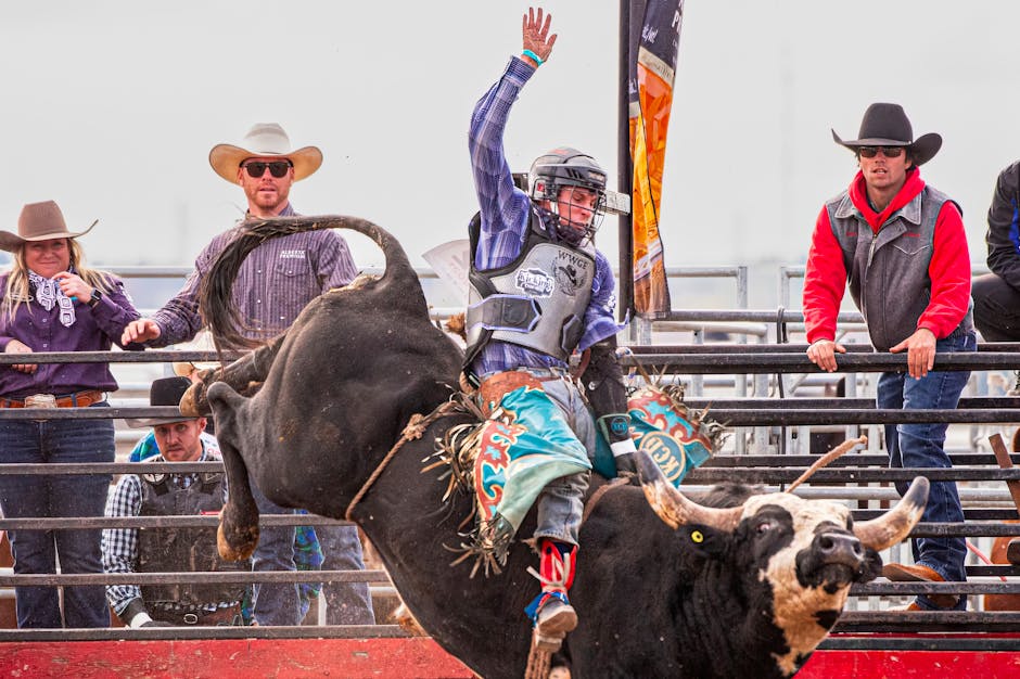 The Bull Thesis: Why This Stock Biggest Bet for May