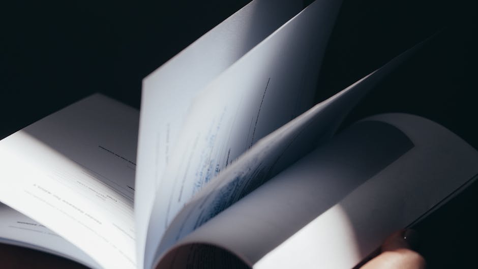 Section 4: How to test the thesis in a real-world scenario