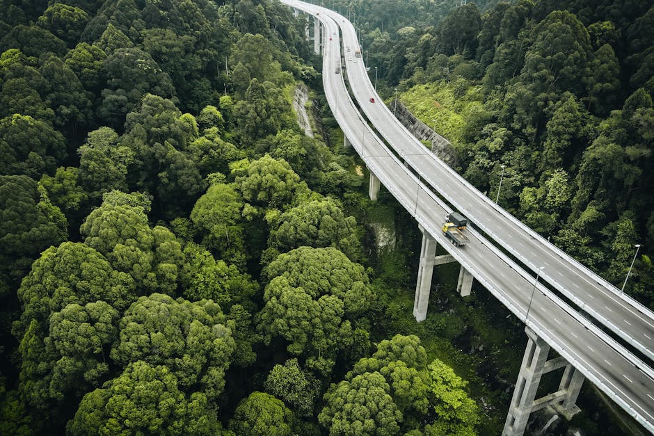 Real-World Scenarios: What Could Drive a Turnaround in 2026