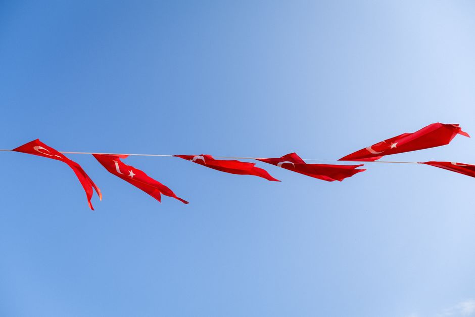 Risks to Watch: Red Flags for This Unstoppable Growth Stock