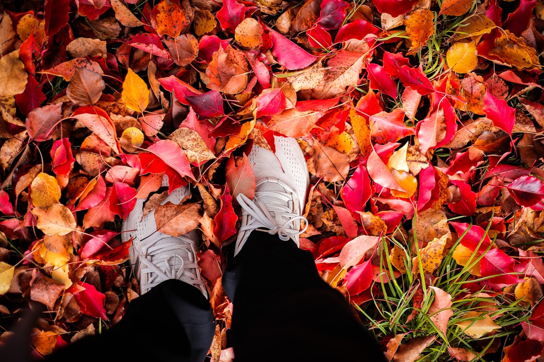 What to Watch This Fall and Winter