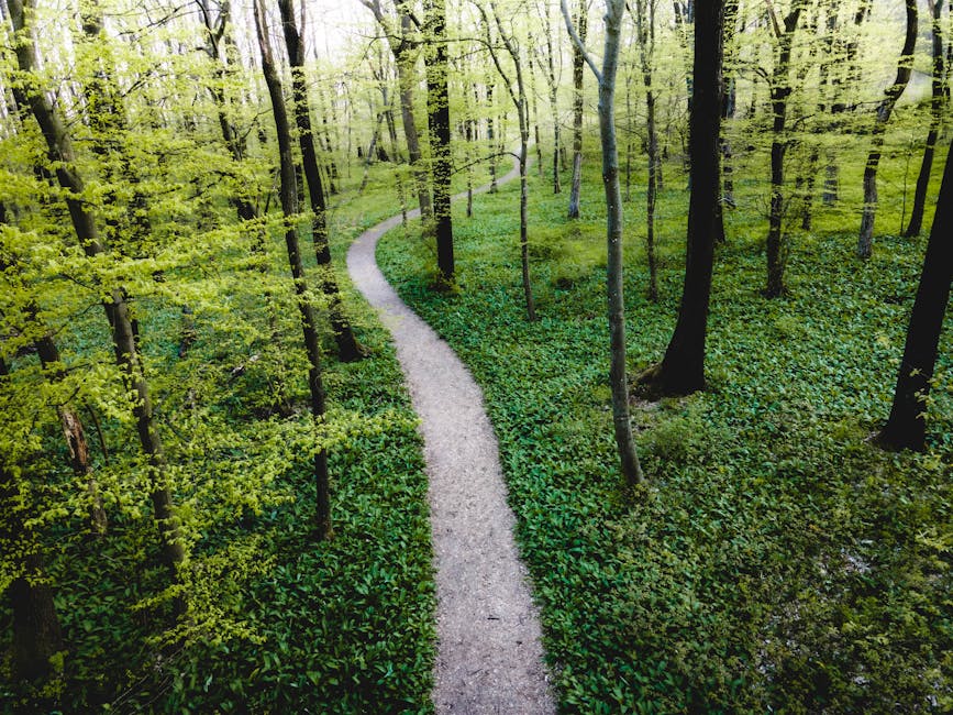 10) Conclusion: Your Path, Your Pace