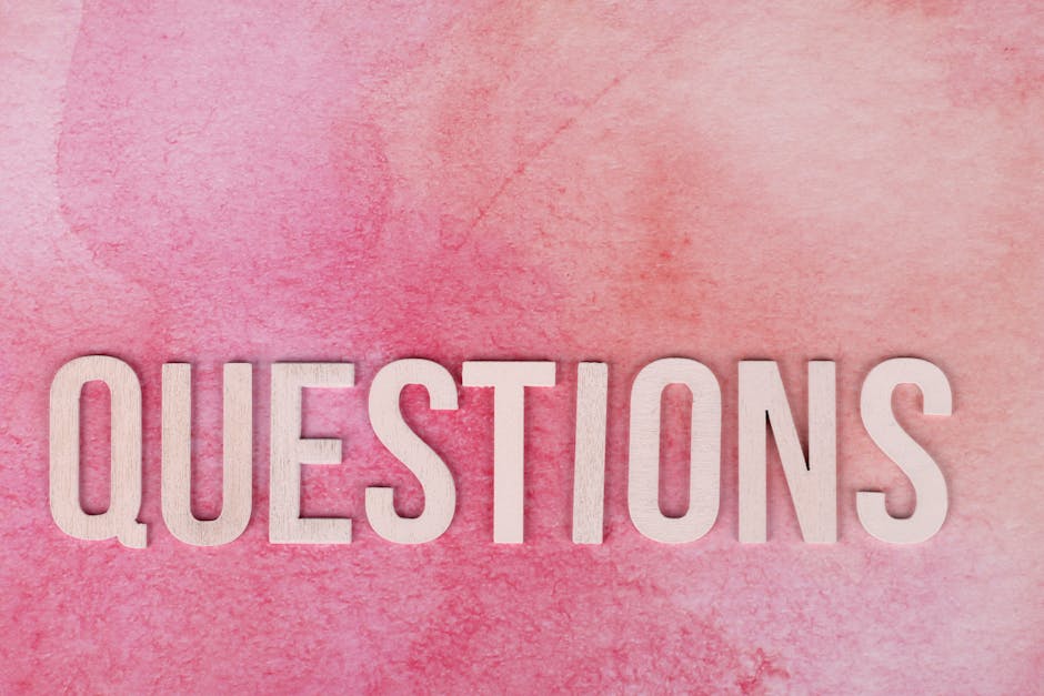 Key questions to ask after tomi (tomz) 2026 earnings