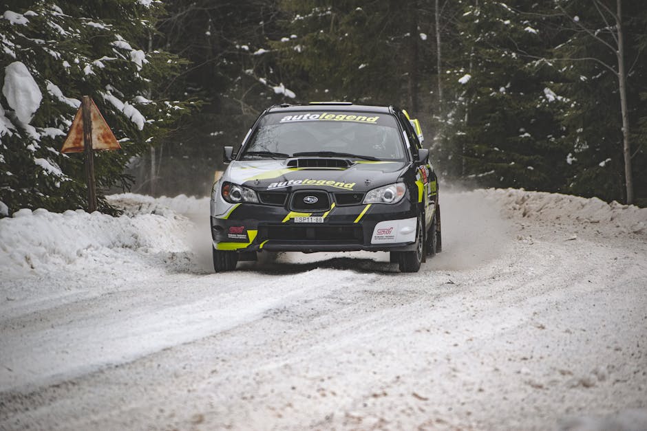 What Is Driving the Rally in Performing Camping Stocks?