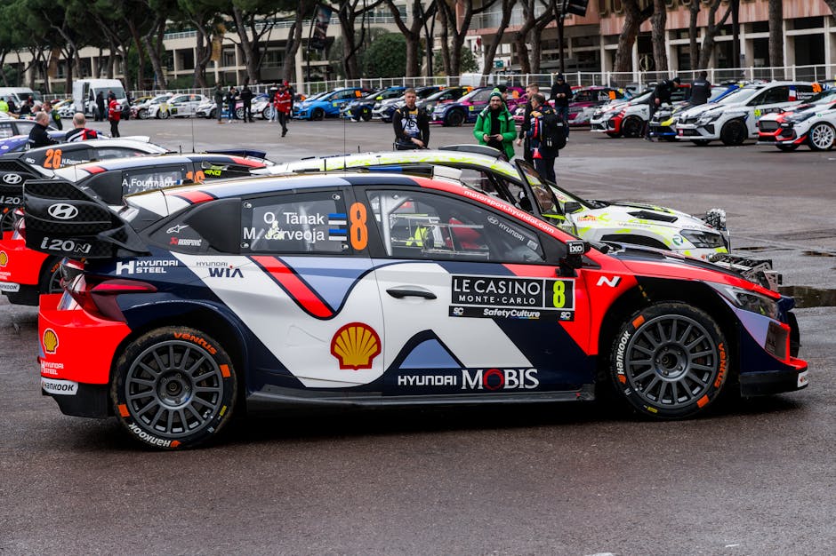 Core Drivers Behind the Rally