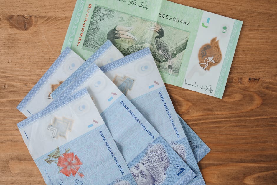 Case Study: A Real-World Family Budget Revision