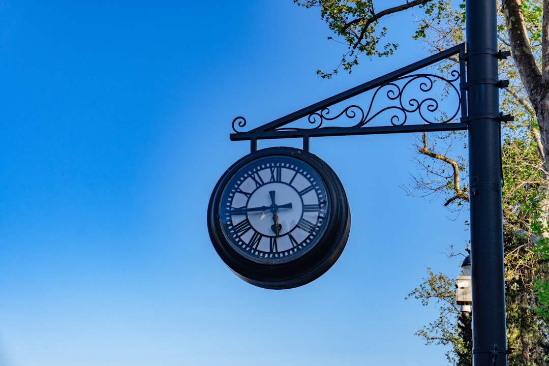 Timeline and Next Steps