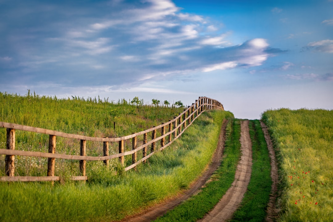 Alternative Paths After the Wall Goes Up