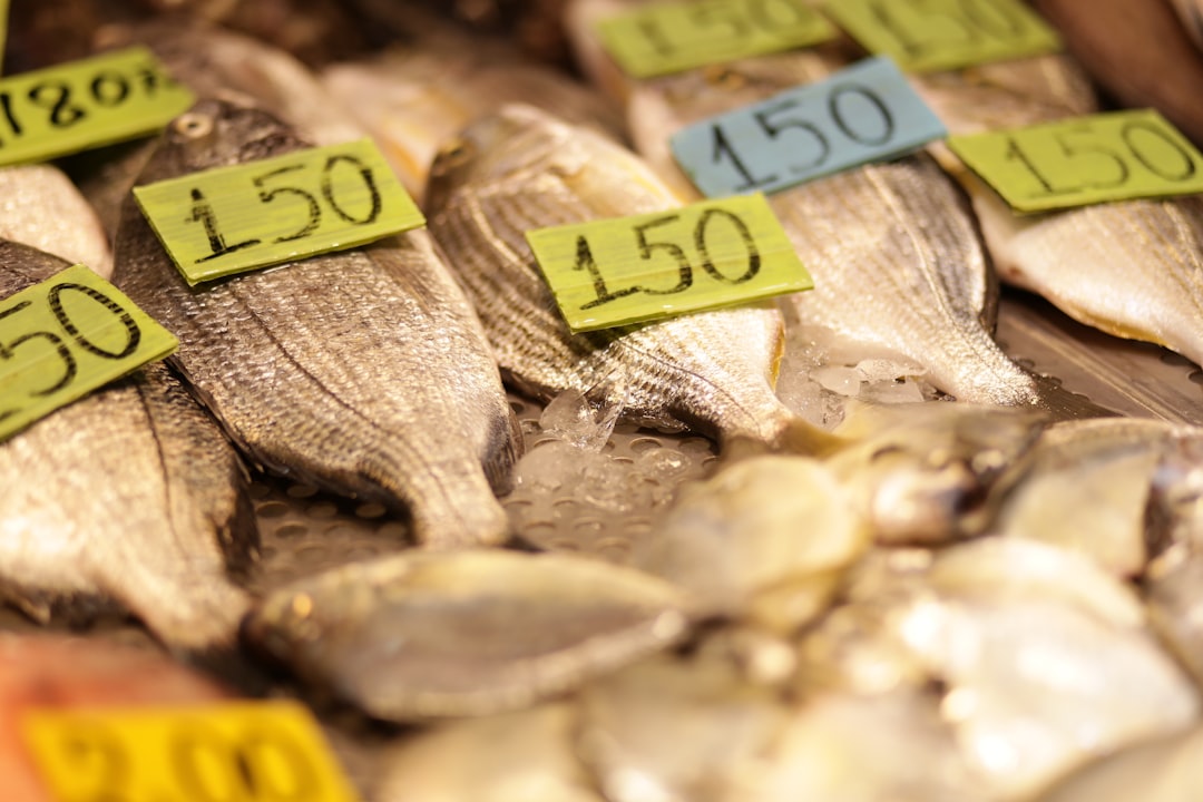 Market Context: Gold Prices, Risk, and the Appeal of Nontraditional Assets