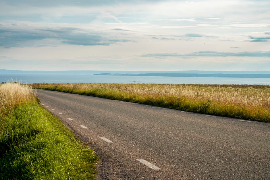 Expert Perspectives on the Road Ahead