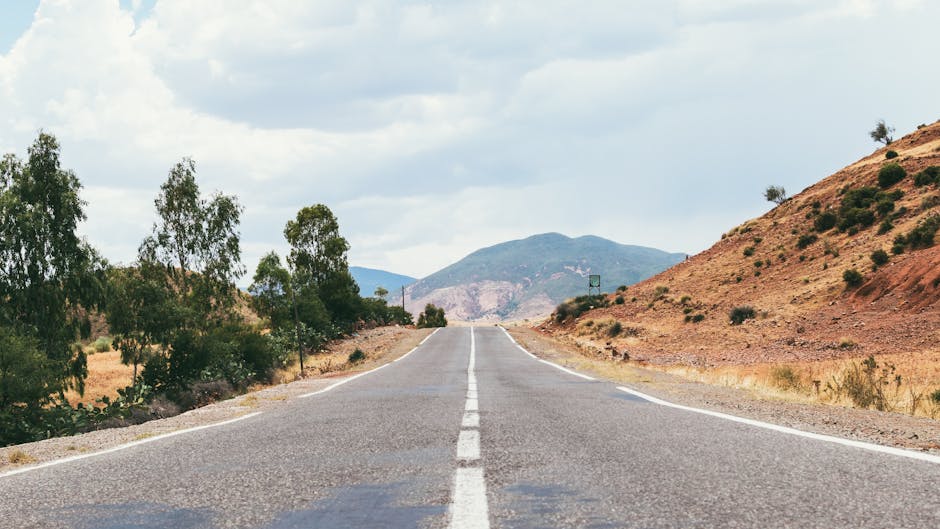 Liquidity, Risk Appetite, and the Road Ahead