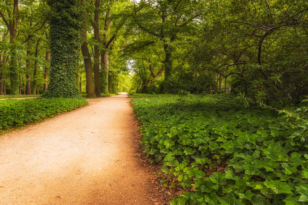 The Path Forward: What to Expect