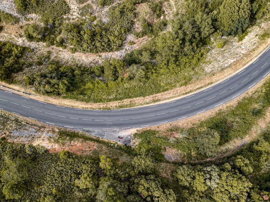 Strategic Focus and Roadmap