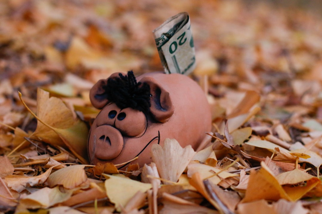 Bottom Line for Personal Finance