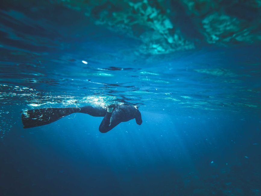 Deep Dive: The Phrase That Shaped Perception
