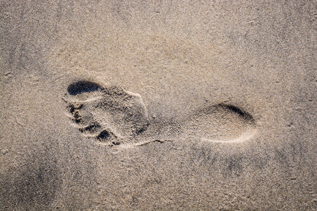 Trump’s Trading Footprint: The Unknown Variable