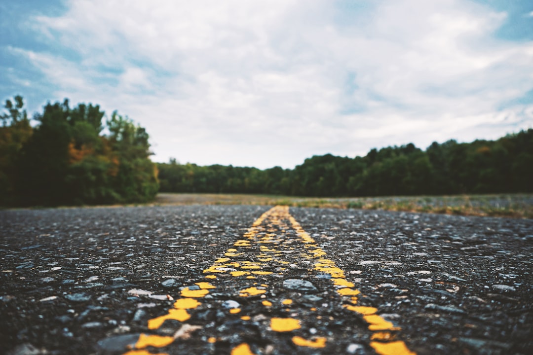 Bottom Line: A Varied Path Ahead