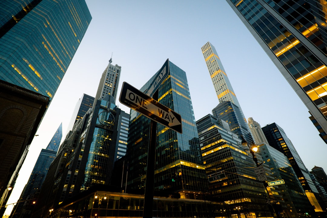 Investor Playbook: Navigating A Polarized, Yet Predictable, Landscape