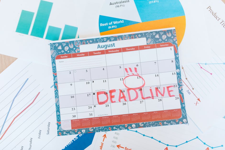 What Comes Next: Navigating the Deadline