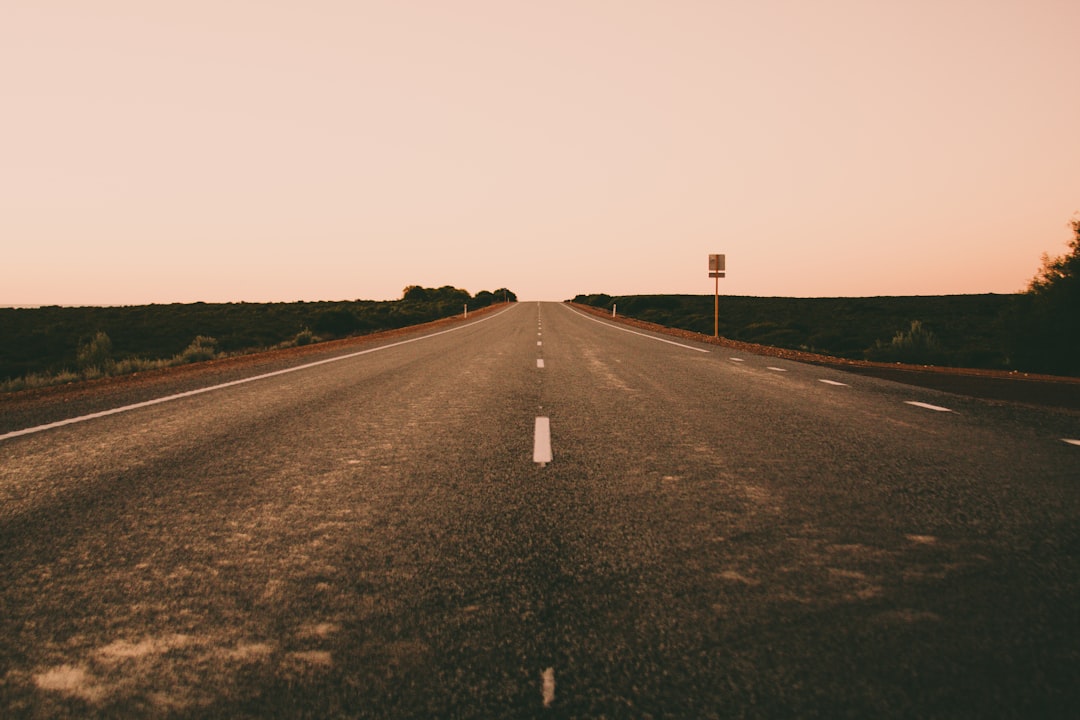Oversight, Lawmaking, and the Road Ahead