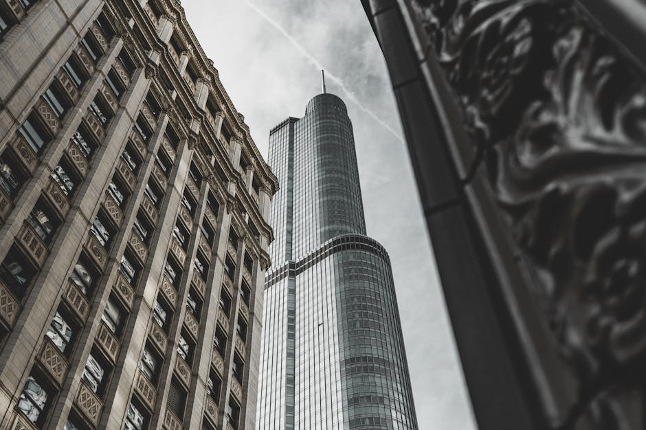 What’s Behind the Phrase: trump’s fury spain working