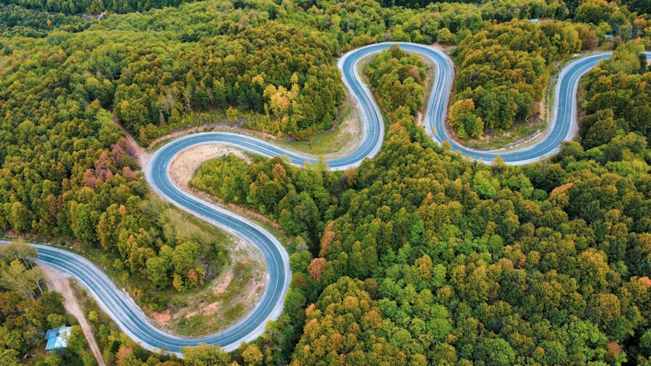 The Road Ahead: What To Watch In The Next Year