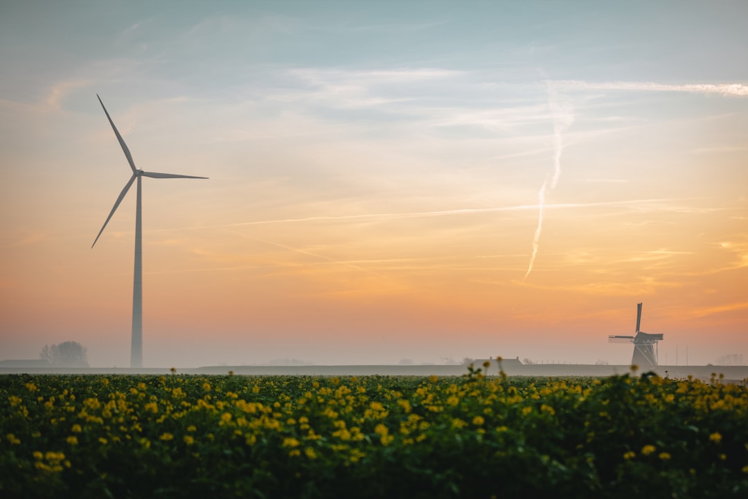 Impact on Energy Markets and the Home Budget