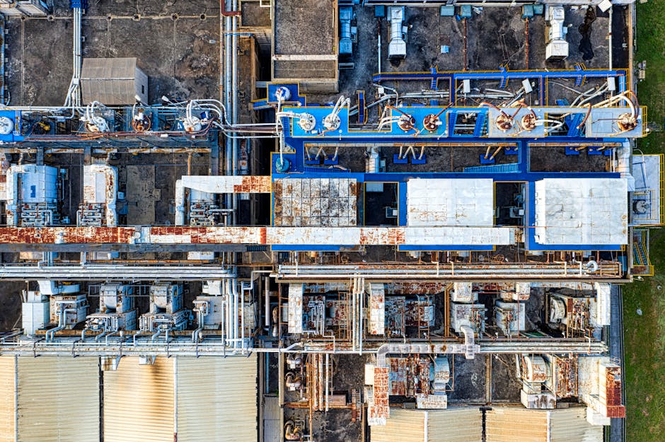 From Energy Markets To Factory Floors: The Transmission Mechanisms