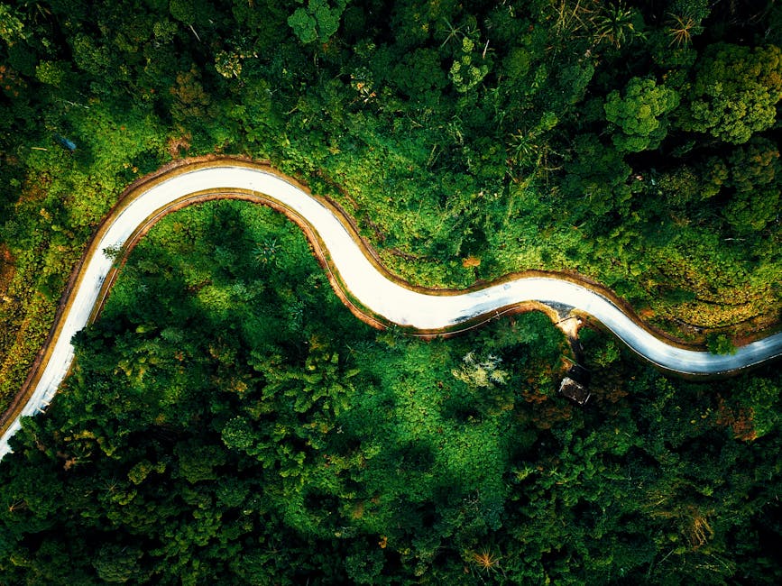 Guidance for 2026 and the Path to Sustainable Growth