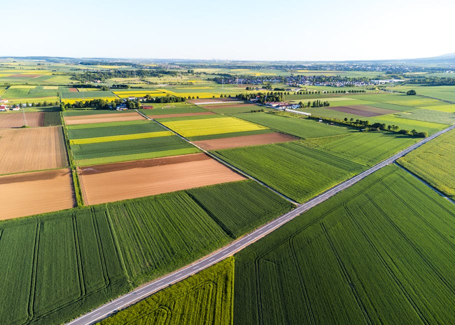 Risks, Challenges, and Competitive Landscape