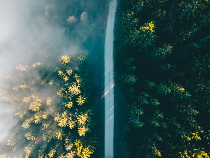 What’s Next: The Path Forward for Investors