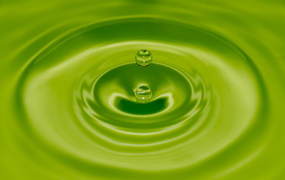 Market and household impact: ripple effects across energy and wallets