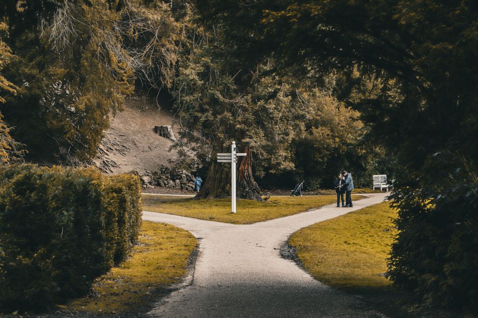 Paths Forward and What to Watch