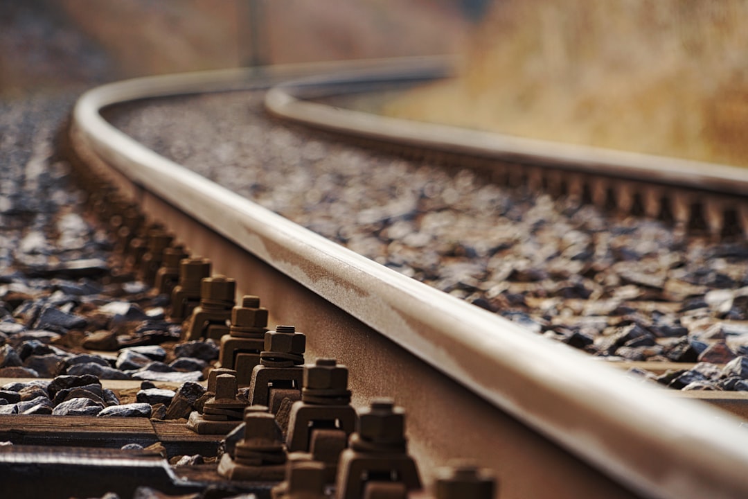 China’s Response: Open-Source Rails and State-Backed Models