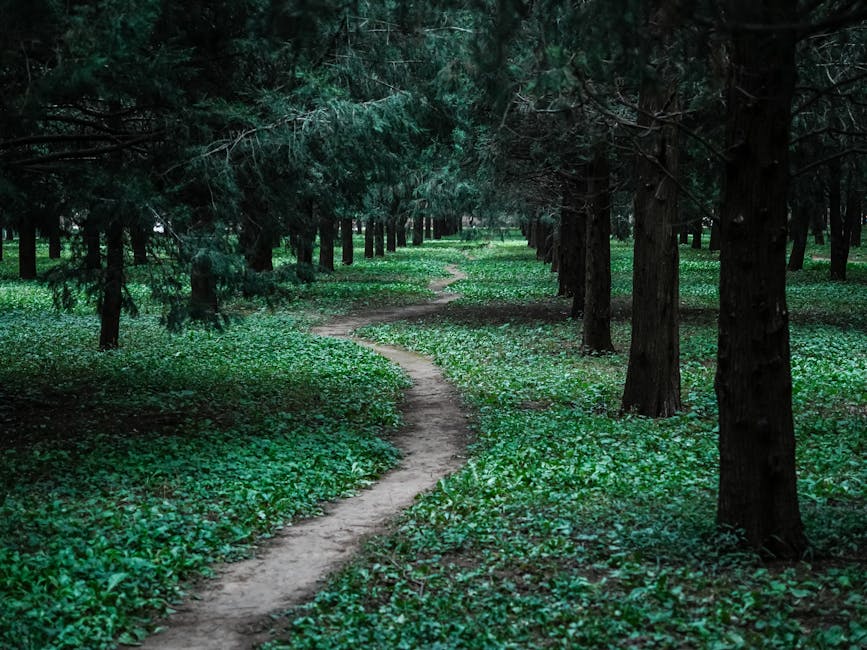 Why Traders Are Split on the Path Forward