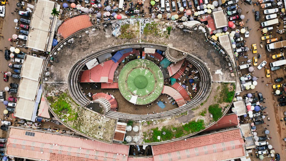 Policy Landscape: Debt Management and Potential Reform