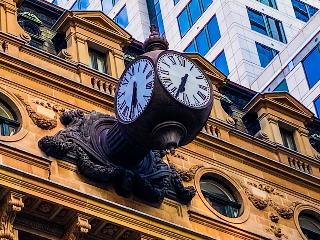 Timeline, Risk Management and Next Steps