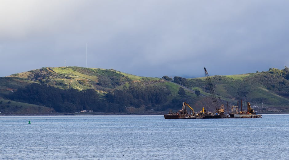 Two Harbors Context: A Bid That Didn’t Prevail