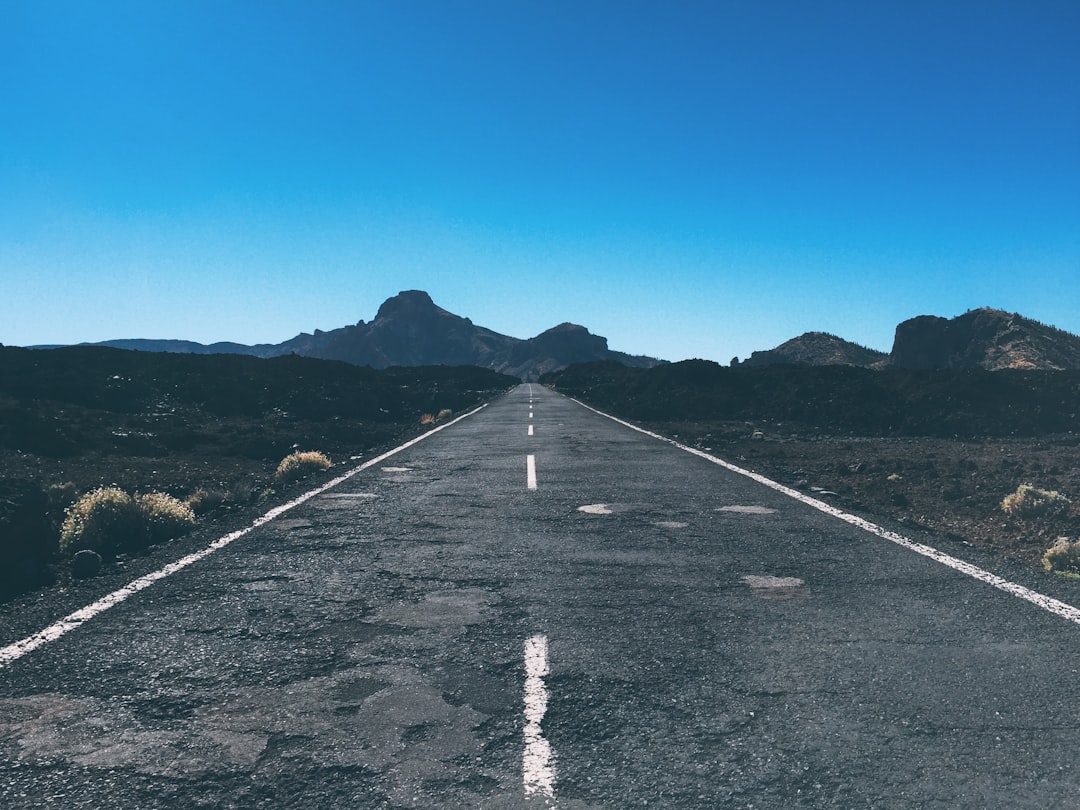 Risk and Reward: A Simple Roadmap For 2026