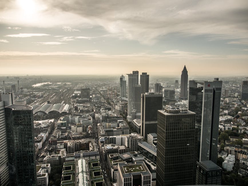 What This Means for Investors and Cities