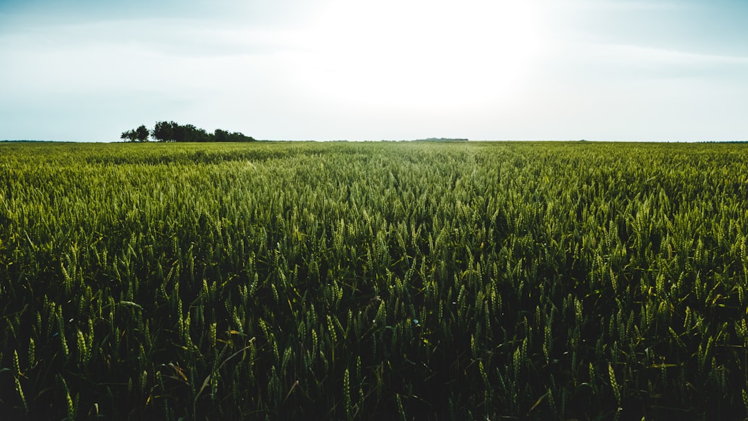 Perspectives From the Field