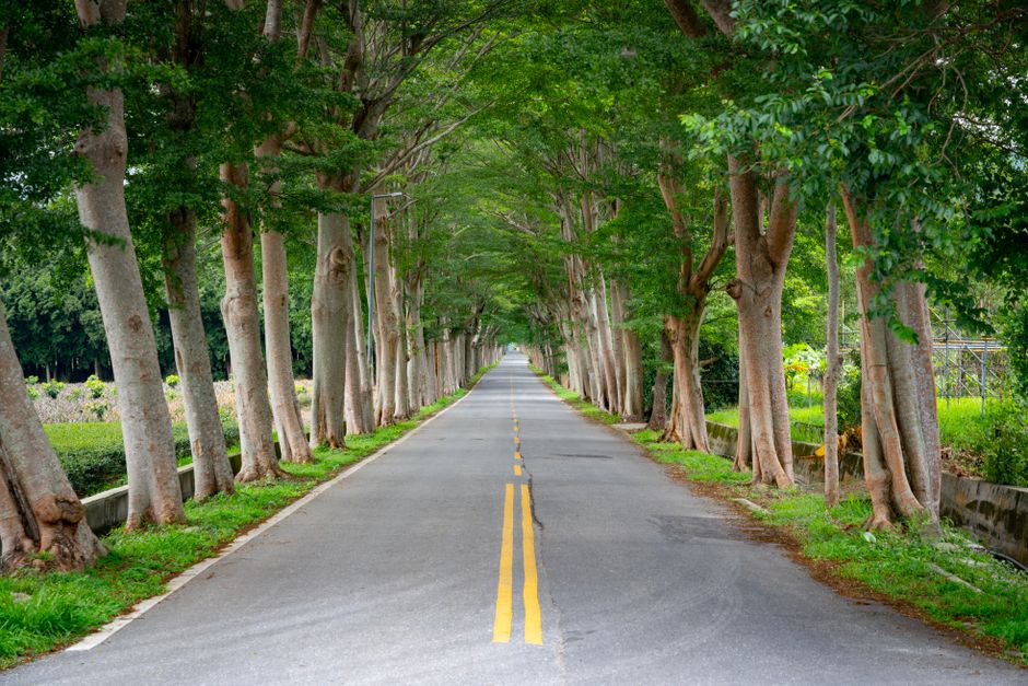 Bottom Line: A Practical Path Forward