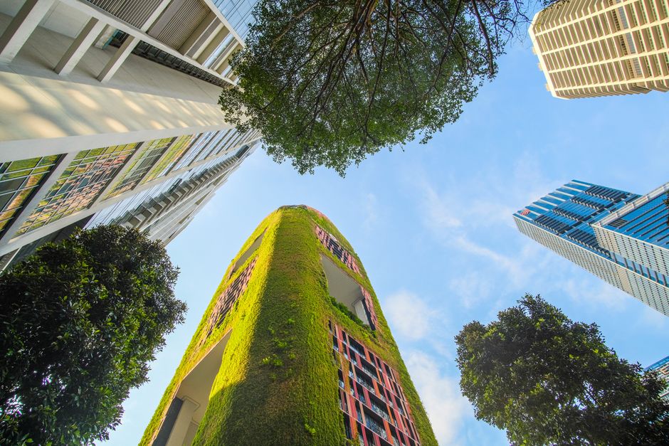 What the 2026 Environment Means for the Choice