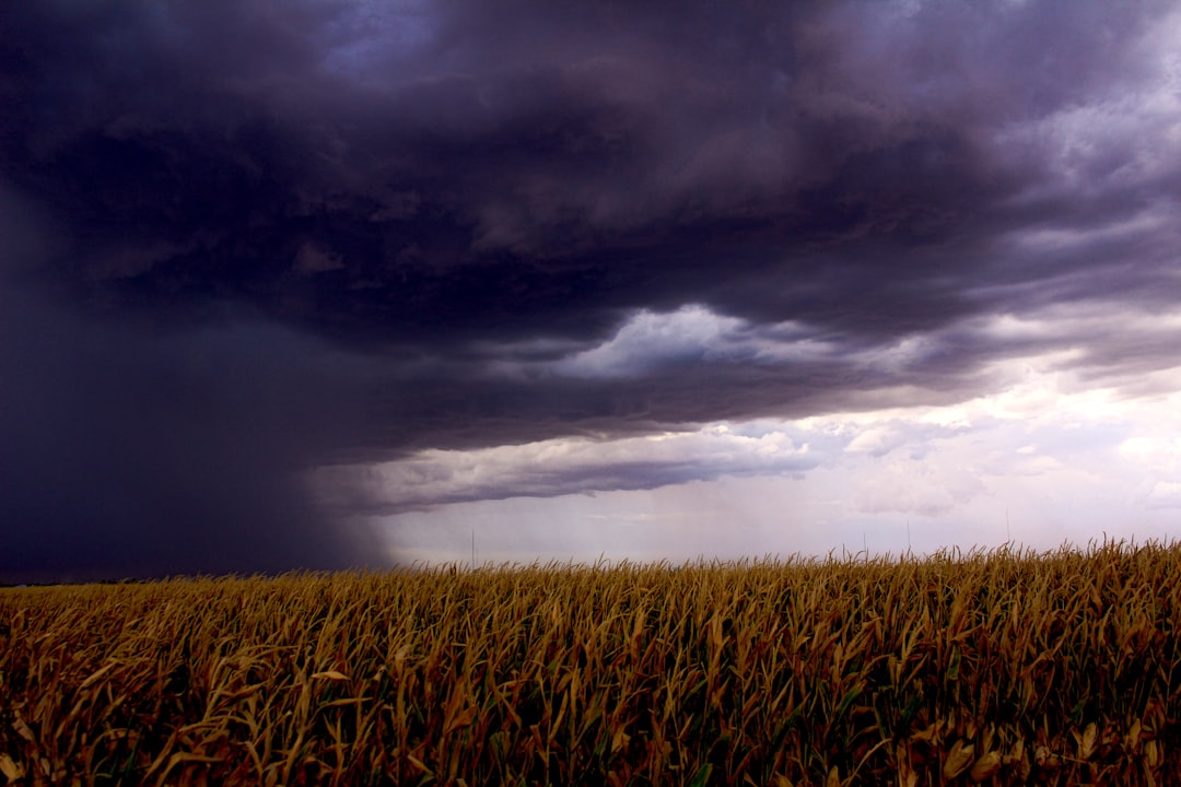 Risk Management: How to Weather Market Cycles