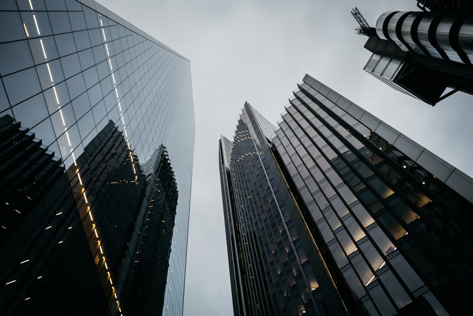 Industry Confidence Versus Regulatory Reality